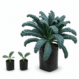 Dragon Kale Plant: 9 Incredible Reasons to Grow & Enjoy