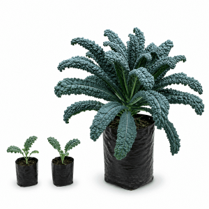 Dragon Kale Plant: 9 Incredible Reasons to Grow & Enjoy