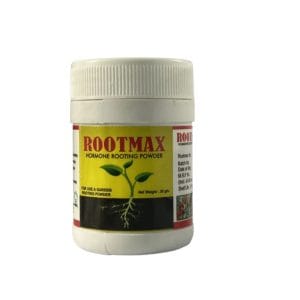 Rooting Hormone Powder – 5 Amazing Rootmax Garden Results