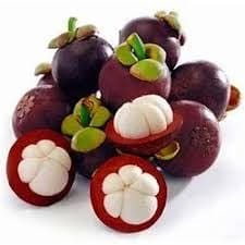 Mangosteen Fruit Plant