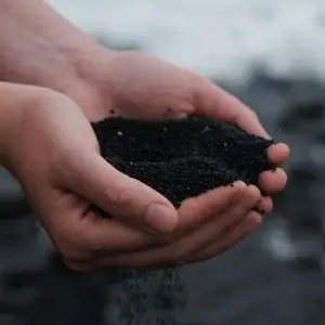 Organic Formula Compost | 5 Proven Benefits for Healthy Plants