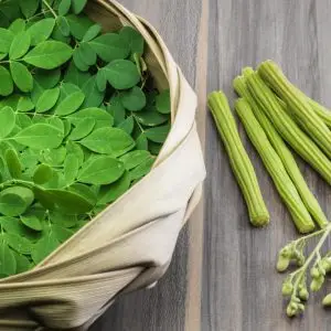 Moringa Plant | 5 Amazing Uses